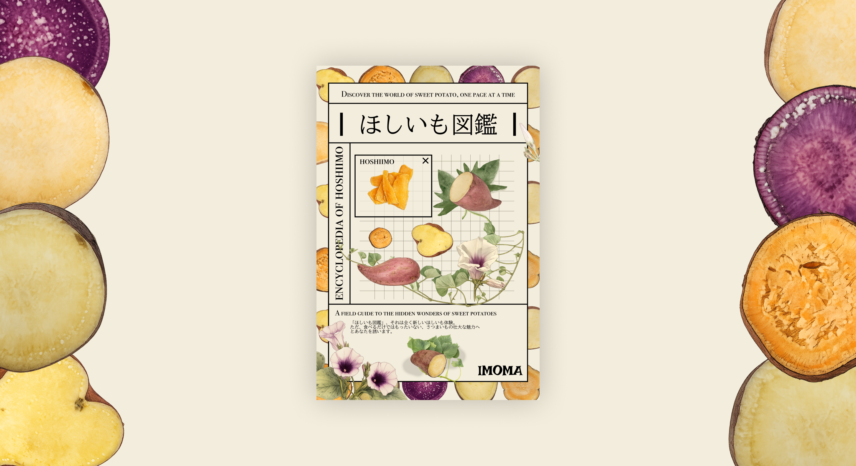 ほしいも図鑑のパッケージとさつまいもの断面画像
「ほしいも図鑑」、それは全く新しいほしいも体験。ただ、食べるだけではもったいない、さつまいもの壮大な魅力へとあなたを誘います。